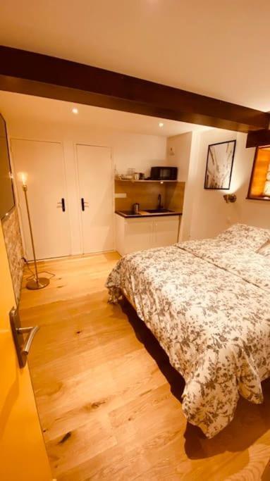 Studio Renove Avec Patio, Coeur Du Centre Ville Безансон Екстериор снимка
