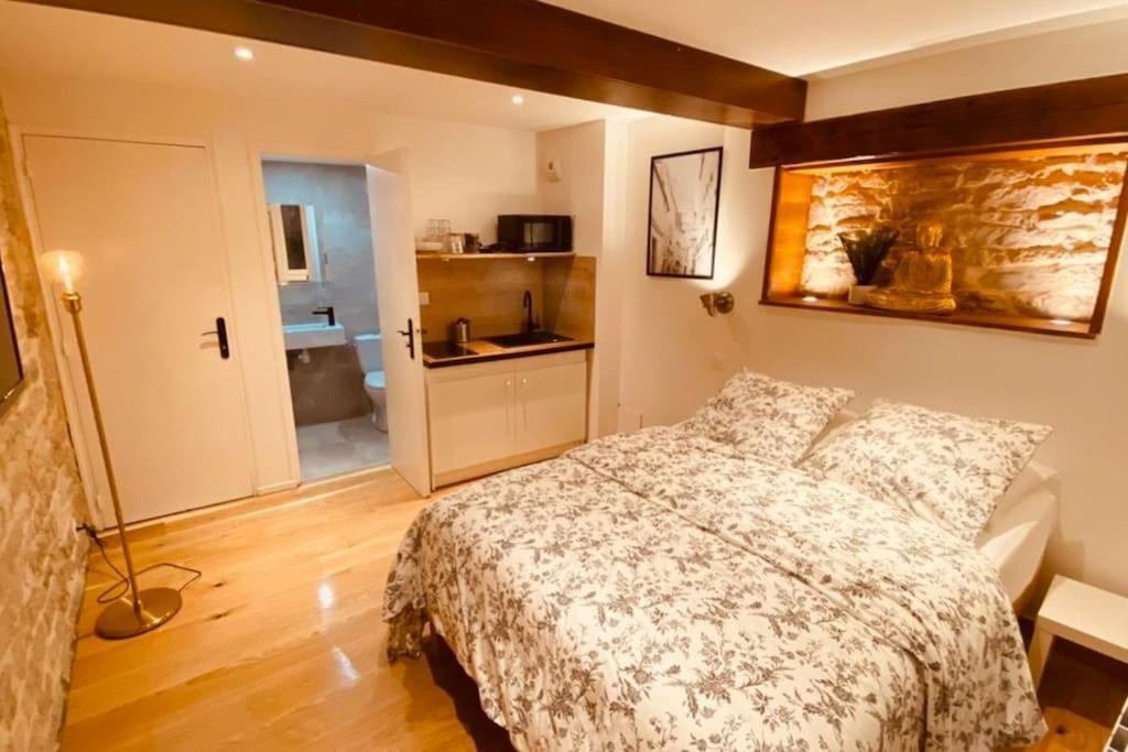 Studio Renove Avec Patio, Coeur Du Centre Ville Безансон Екстериор снимка